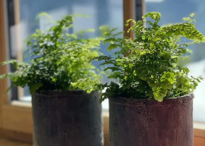 Апартаменты Mandlberggut